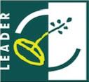 Leader